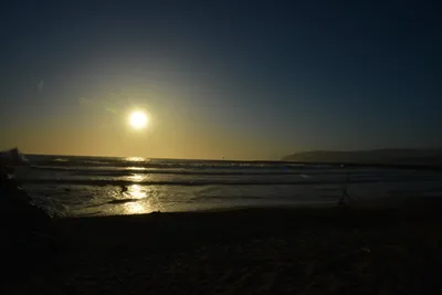 DSC_7287 (Large).JPG